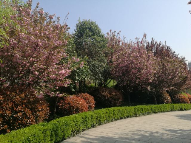 航天城中湖公园旅行图片 3