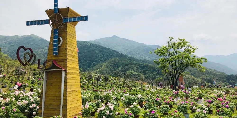 永安旅遊