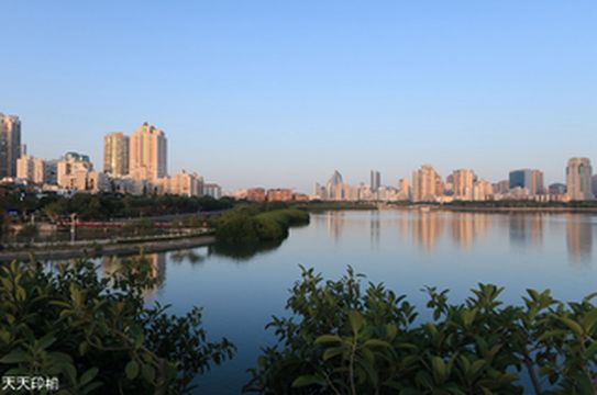 昔日筼筜渔火 今朝万家灯火