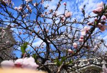 古城公园-北区景点图片