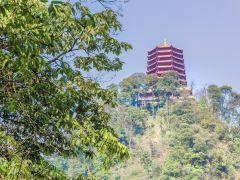 青城山问道1日游，道教圣地之旅