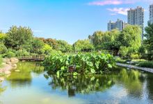河东公园景点图片