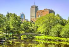 后湾沼泽景点图片