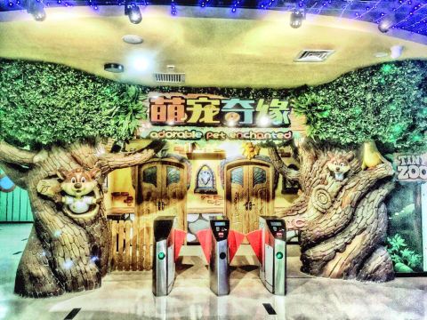 萌宠奇缘