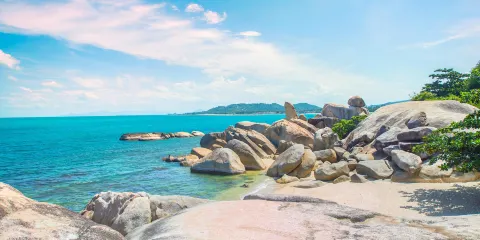 信他和信亞，祖父祖母石