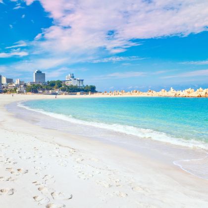 日本和歌山+白滨：和歌山城+贵志站+圆月岛+千叠敷+三段壁