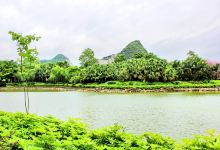 柳州奇石园景点图片