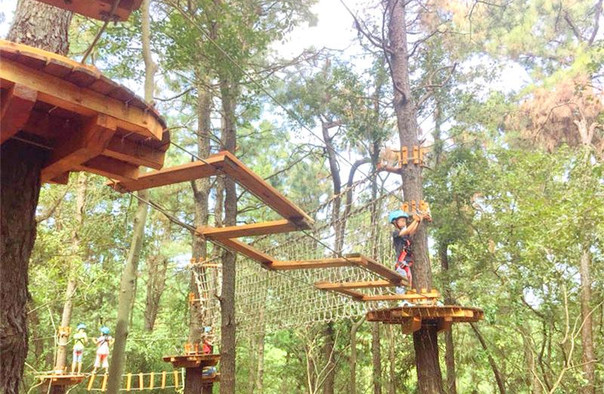 松鼠咔咔森林樂園