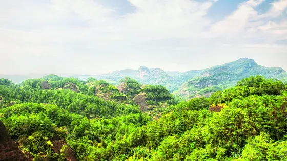 武夷山國家森林公園