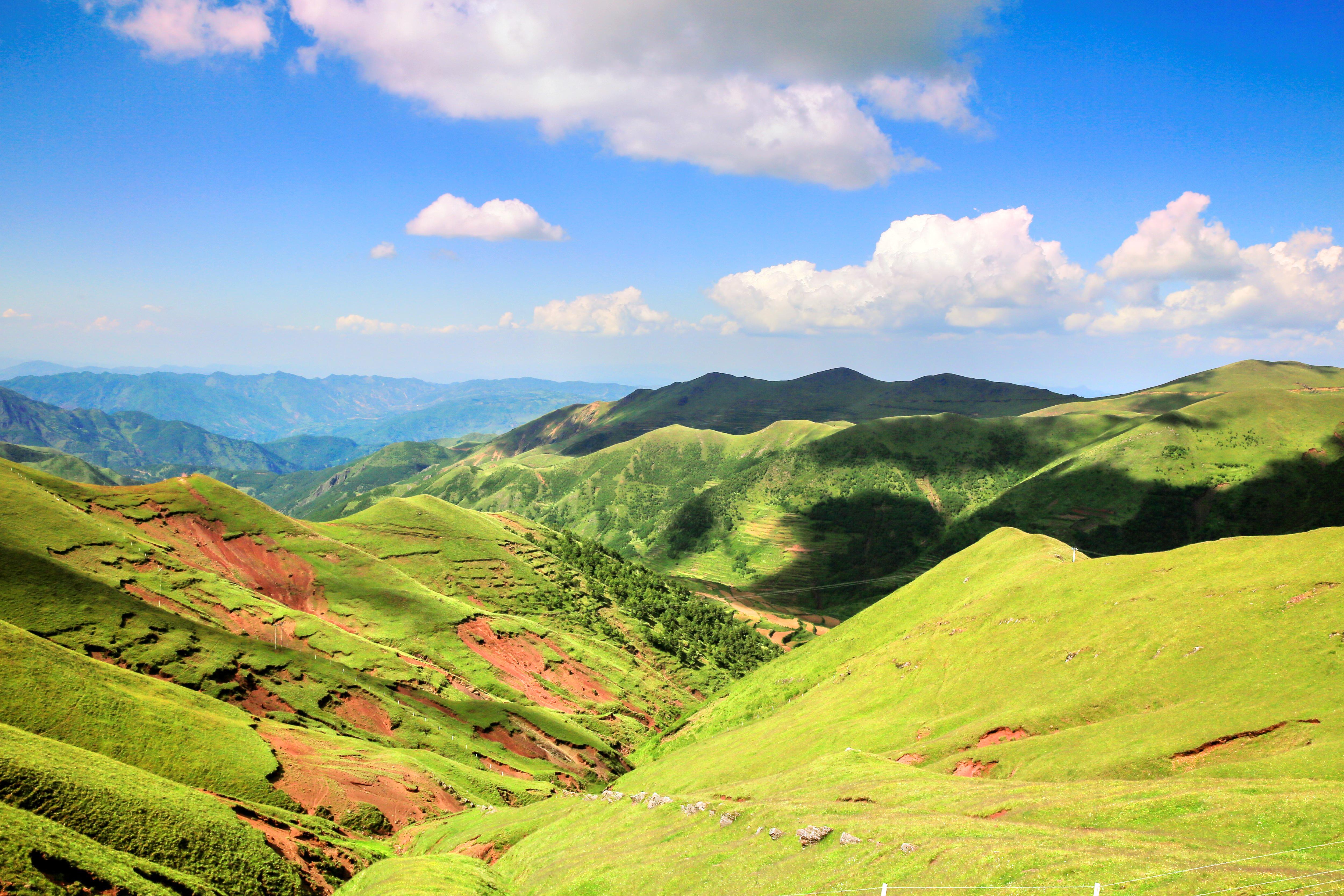 大海草山