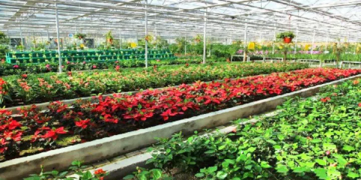 北川維斯特農業示範觀光園