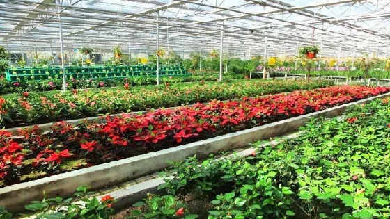 北川維斯特農業示範觀光園