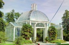 植物园-日内瓦-doris圈圈