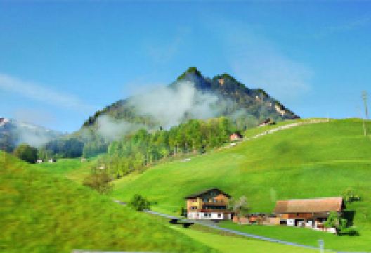 天山托木尔森林公园景点图片