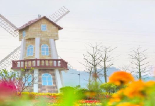 爱丽丝仙境花海景点图片