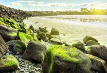 卡洛琳海湾景点图片