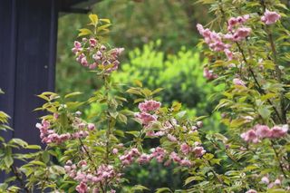 五一解锁乡村美景!阿坝州这条乡村旅游精品线路,看一眼就沦陷!