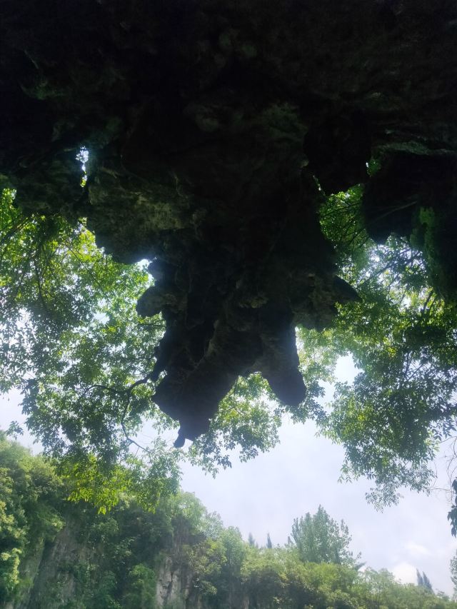 洒金公园旅行图片 3