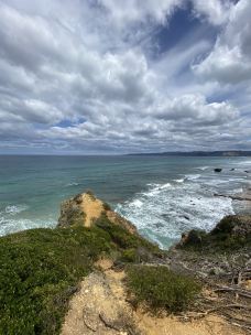 墨尔本水族馆-墨尔本-小竹楠