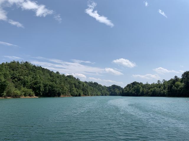 杜鹃湖旅行图片 8