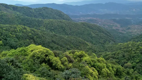 磨盤山國家森林公園
