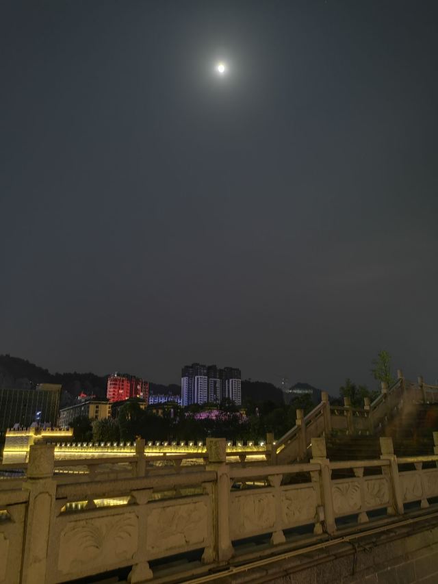 南沙洲公园旅行图片 4