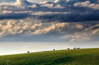 如何玩转新疆那拉提草原？这三条经典线路，错过哪条都会遗憾