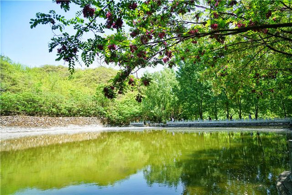 河北藏着一座金山，2000个淘金户家里的算盘，揭开了大山中的秘密