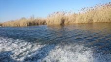 白洋淀风景区-雄县-yuyanjia~