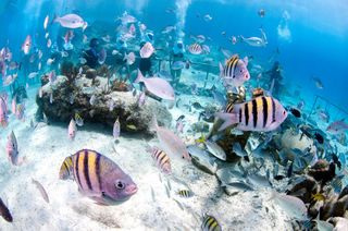 六一儿童节墨西哥坎昆亲子游攻略，夏天玩水哪个地方最好？