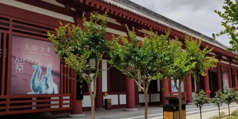 絲路唐夢唐代胡俑精品文物陳列