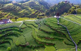 国内这4个小众避暑胜地不要错过，过一个只有25℃的夏天！