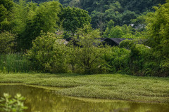 宁国游记图片] 一座被老铁路分割的乡村，风景美的超乎想象，犹如世外桃源