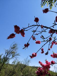 万寿公园-北京-YoYo_2W2Q3L5U