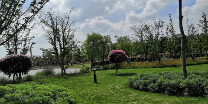 興安國家森林公園(伊美區南山公園)-南山森林公園