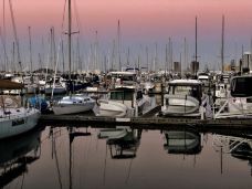 教会湾-奥克兰-M53****145