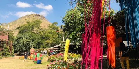 吉姆湯普森農場