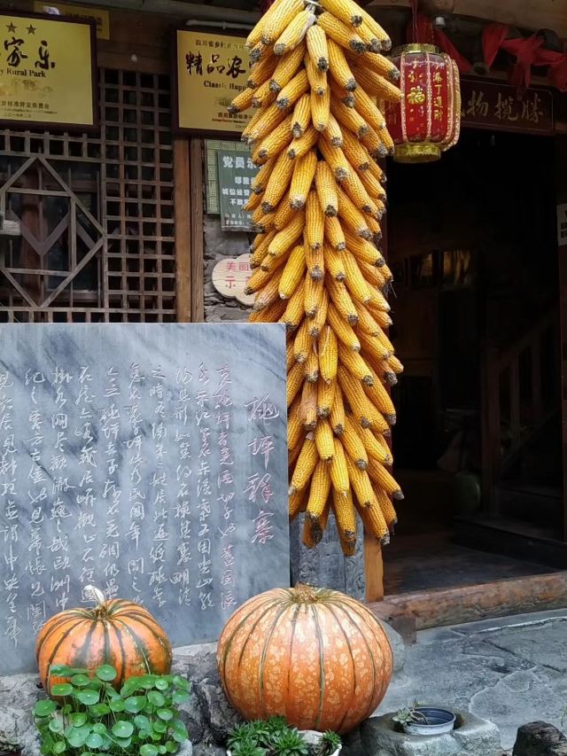 北川公园旅行图片 5
