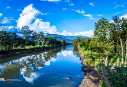 Kebun Raya Wamena景点图片