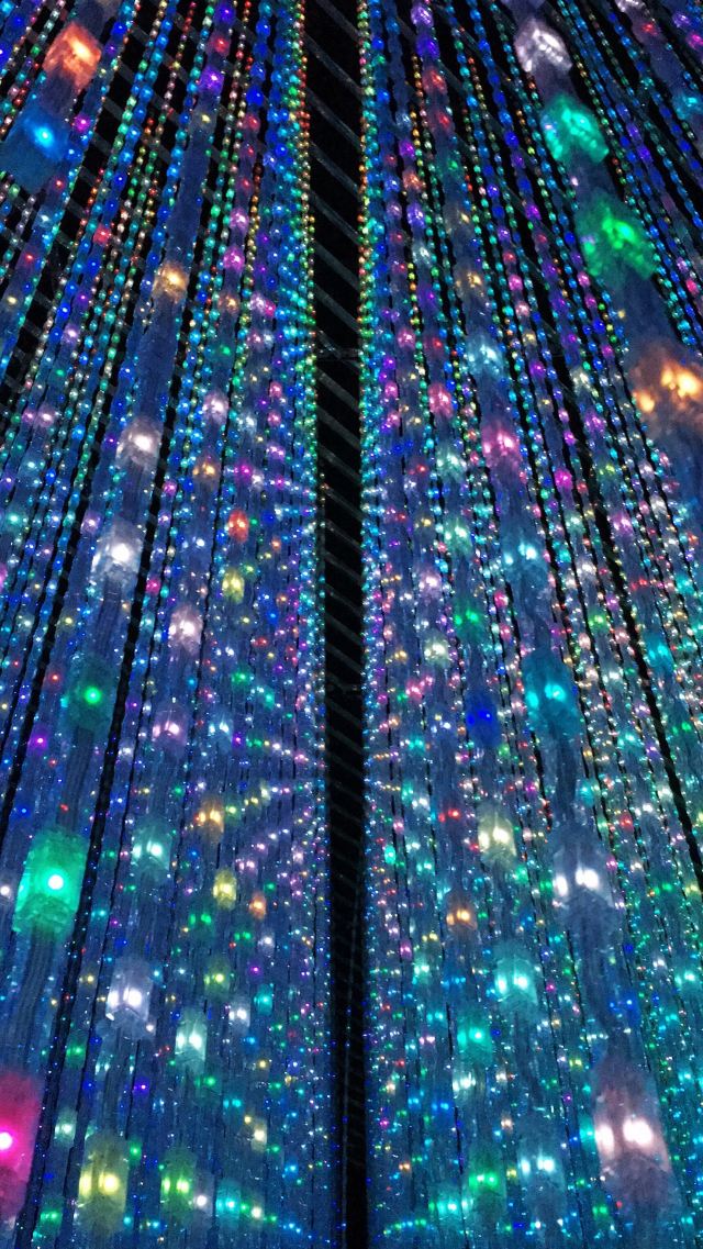 森大廈數字藝術館:teamLab Borderless