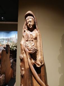 老挝万象神木博物馆-万象-YoYo_4T3I9R7F