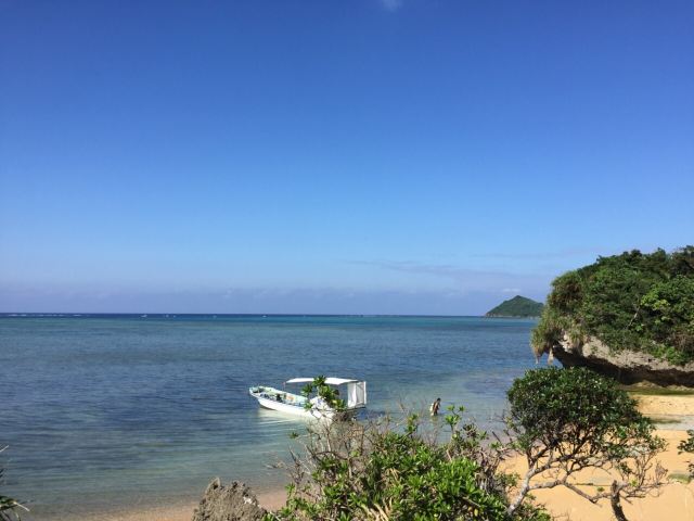 요네하라비치