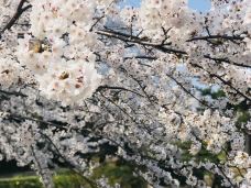 勢至公園-仁贺保市-YoYo_1S9K1J3J