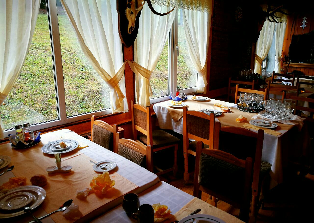 Restaurant Forest餐厅图片