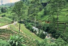 Nuwara Elia and Tea Country景点图片