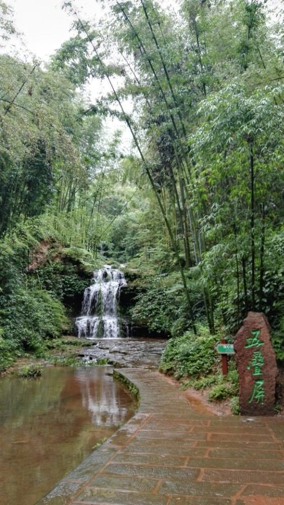 Shunan Zhuhai (“South Sichuan Bamboo Sea”) National Park