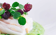 Ocean Restaurant餐厅图片