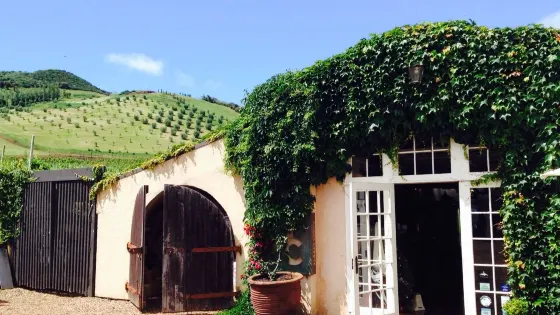 Podere Crisci Winery