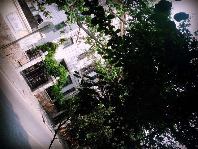 八大關