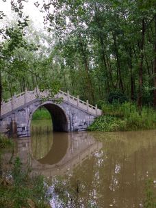 滨湖国家森林公园-合肥-_WeCh****55954